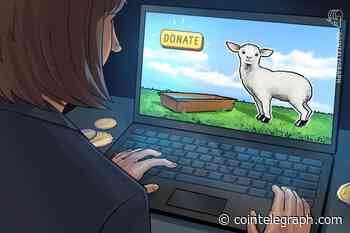 Crypto-powered Sheep Feeding Channel Raises Money for a Good Cause
