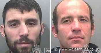 Teddy bear clue helped to catch burglar and his brother