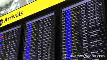 Travel ban ‘would have minimal effect on delaying spread of coronavirus’