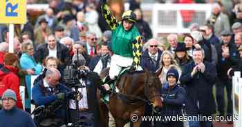 Cheltenham delight for Rebecca Curtis as she celebrates surprise 50/1 winner at Festival