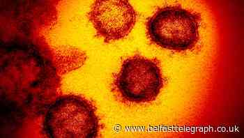 Coronavirus is an enormous challenge to the modern world's me-first culture of entitlement