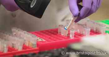 Coronavirus: What are the symptoms according Public Health England