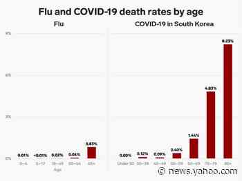 One chart shows how the coronavirus is more deadly than the flu even in South Korea, where the COVID-19 death rate is low