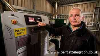 Northern Ireland farmers 'on their knees' after slashing of RHI subsidies