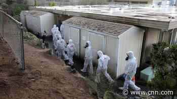 US 'failing' on coronavirus testing, top health official says