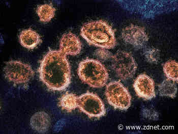 State-sponsored hackers are now using coronavirus lures to infect their targets