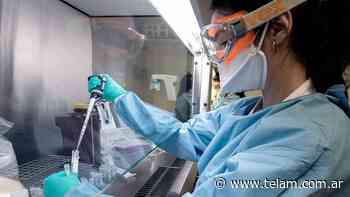 Coronavirus: cuatro nuevos casos y suman ocho en Buenos Aires - Télam
