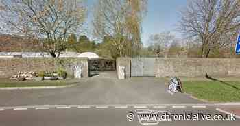 Fowl behaviour as people scale 6ft wall of Gateshead farm shop to get their hands on free chickens - Chronicle Live