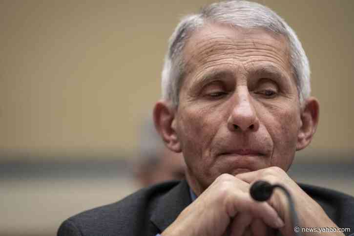 Coronavirus task force immunologist: Testing 'is a failing. Let's admit it.'