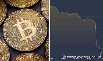 Bitcoin price latest: Cryptocurrency plunges 25 percent in 24 hours hitting 10-month low - Express