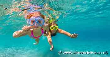 Is it safe to go swimming amid coronavirus outbreak? Here's what the advice is