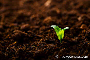 Altcoins zien vroeg optimisme na bloedbad op donderdag, Litecoin stijgt met 10%