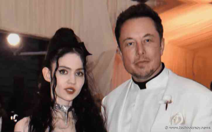 Elon Musk’s Girlfriend Prefers Technocracy Over Government