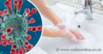 How washing your hands with soap really does work against coronavirus