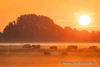 ‘Altijd met donker opstaan is ook niet alles’