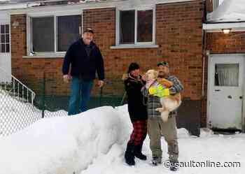Family Relieved Fur Baby Is Back Home!