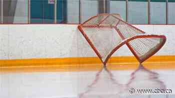 'Bigger things' than hockey, Sask. GM says as coronavirus concerns cancel minor hockey across Canada