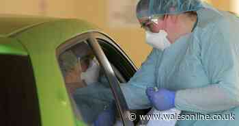 Things you may have heard about coronavirus that are actually 100 percent false