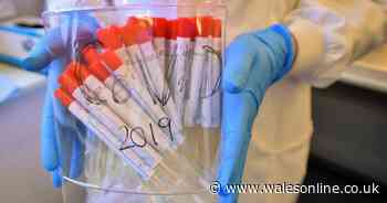 Non-urgent outpatient and surgical care in Wales suspended over coronavirus fears