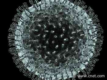 Coronavirus cancellations: From E3 to the NBA     - CNET