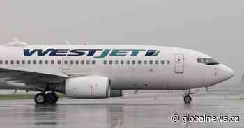 WestJet flight attendants anticipate layoffs due to coronavirus pandemic