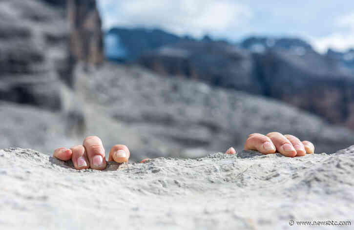 Analyst: Bitcoin Stock to Flow Model Continue’s to Hold, Now It’s Your Turn