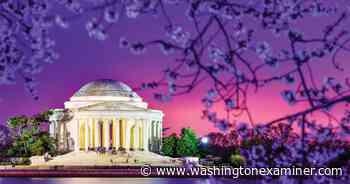 Architecture for the unawed - Washington Examiner