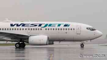 'Our airline's well-being has become grave overnight': WestJet attendants expect mass layoffs due to COVID-19