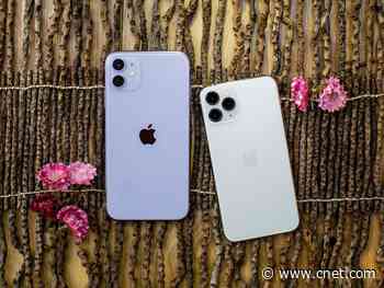 iPhone 11 vs. iPhone 11 Pro: Here are the important differences to help you decide which one to buy     - CNET