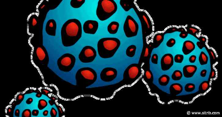 Facts about the novel coronavirus