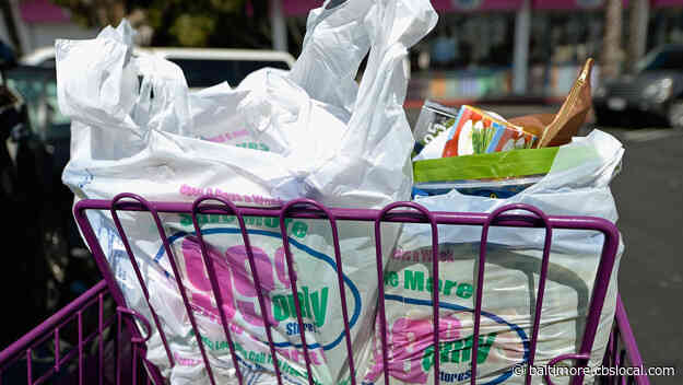 Maryland House Of Delegates Passes Single-Use Plastic Bag Ban