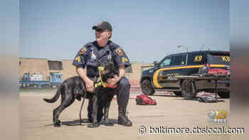 MTA Police Honor ‘Boss’ On National K9 Veterans Day