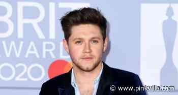 Niall Horan pokes fun at One Direction merchandise featuring Zayn Malik, Harry Styles' faces - PINKVILLA