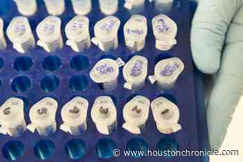 Houston doctors frustrated by lack of coronavirus test kits - Houston Chronicle