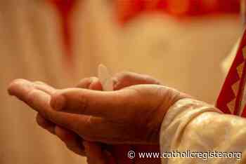 Archdiocese of Toronto cancels weekend Masses in wake of COVID-19 - The Catholic Register