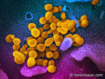 How to self-isolate during the COVID-19 pandemic - Toronto Sun