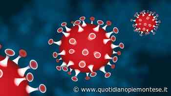 Coronavirus, a Rivalta di Torino tre positivi al test del tampone - Quotidiano Piemontese
