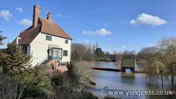 A lakeside lunch in York's Rowntree Park