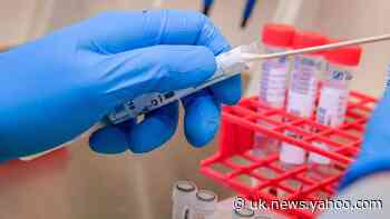 Scientists close to developing coronavirus vaccine after tests on mice