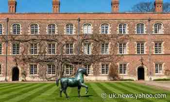 Cambridge may drop BAME mentoring of white academics