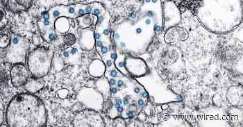 How Long Does the Coronavirus Last on Surfaces?