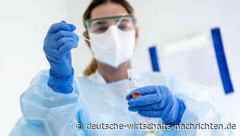 Berliner Firma produziert Coronavirus-Tests für die ganze Welt