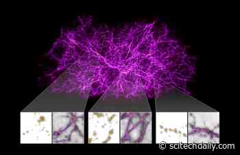 Astronomers Map Dark Matter Filaments Holding Universe Together With Some Help From Slime Mold