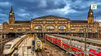 Hamburg: Flaschensammler stoppt Bahnverkehr im Hauptbahnhof