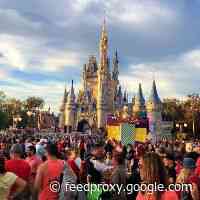 Crowds Continued To Fill Disneyland As Warnings Increase