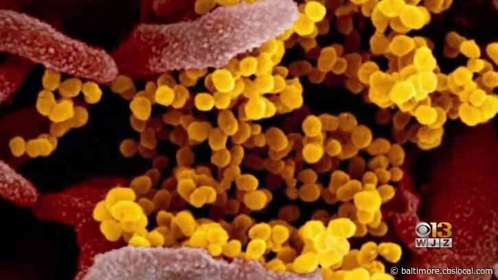 Coronavirus Latest: Maryland Cases Rise To 26