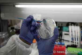 When will there be a coronavirus vaccine — and who will get it first? 