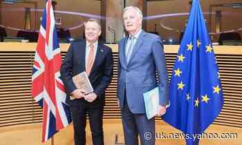 Brexit: coronavirus sparks calls to extend EU transition period