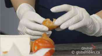 In the Global Edmonton Kitchen with A Bite of Brazil