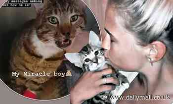 Molly-Mae Hague reveals her beloved cat was hit TWICE by two cars